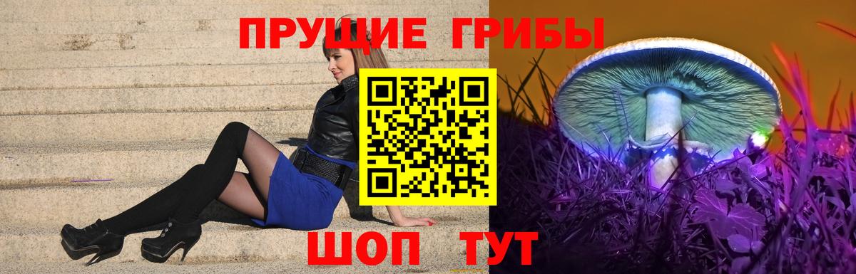 Псилоцибиновые грибы Psilocybine cubensis  где купить   Коммунар  Вход с VPN 