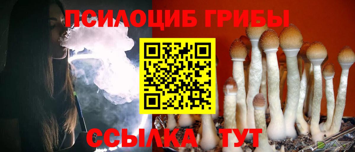 Псилоцибиновые грибы Cubensis  Коммунар 